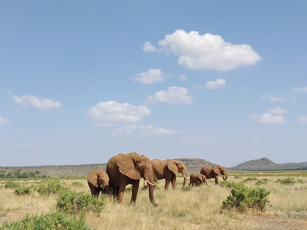 featured-Samburu-GR_Maciej-Sudra_76
